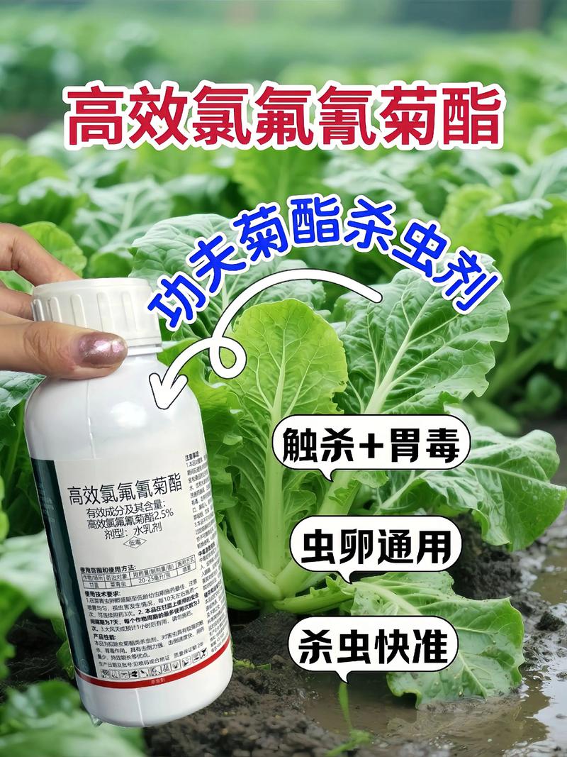 锦州代生中心:农药对供卵代生妈妈的危害